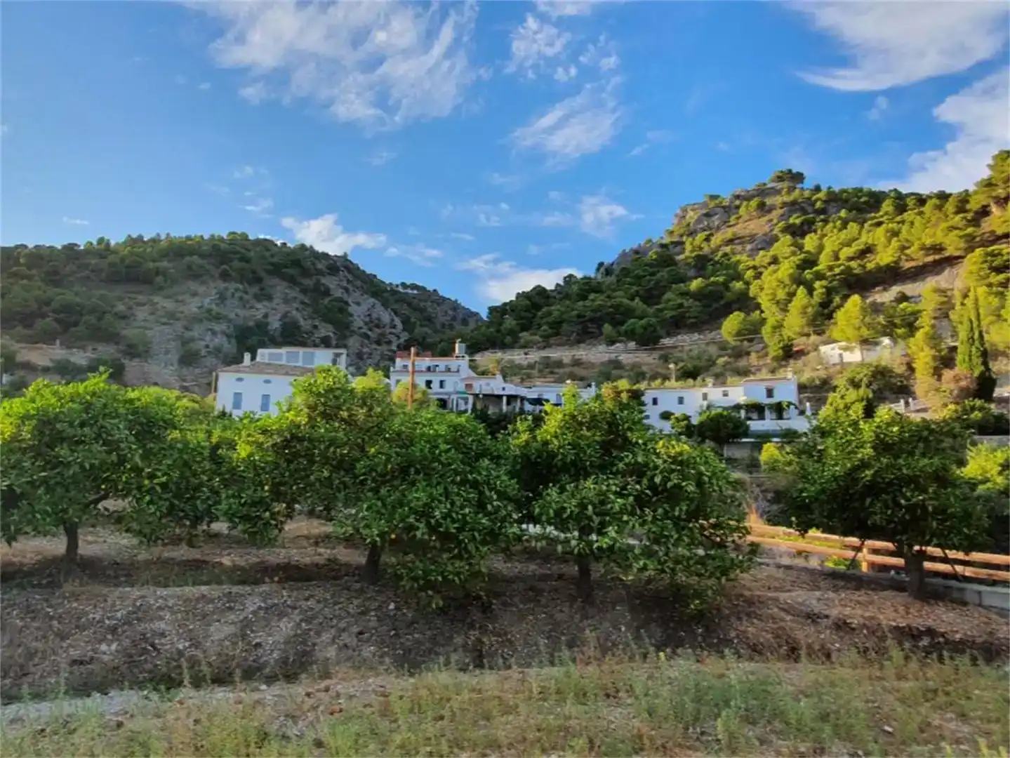 Vista exterior de Finca rústica en venda en Alozaina