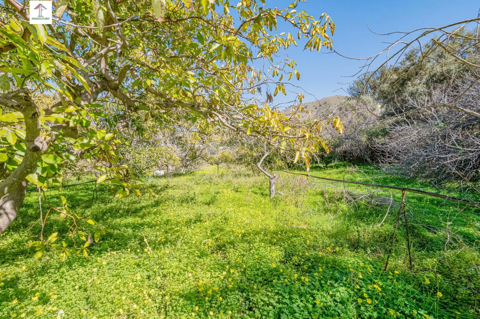 Casa o chalet en venta en Motril con Jardín privado, Terraza y Piscina
