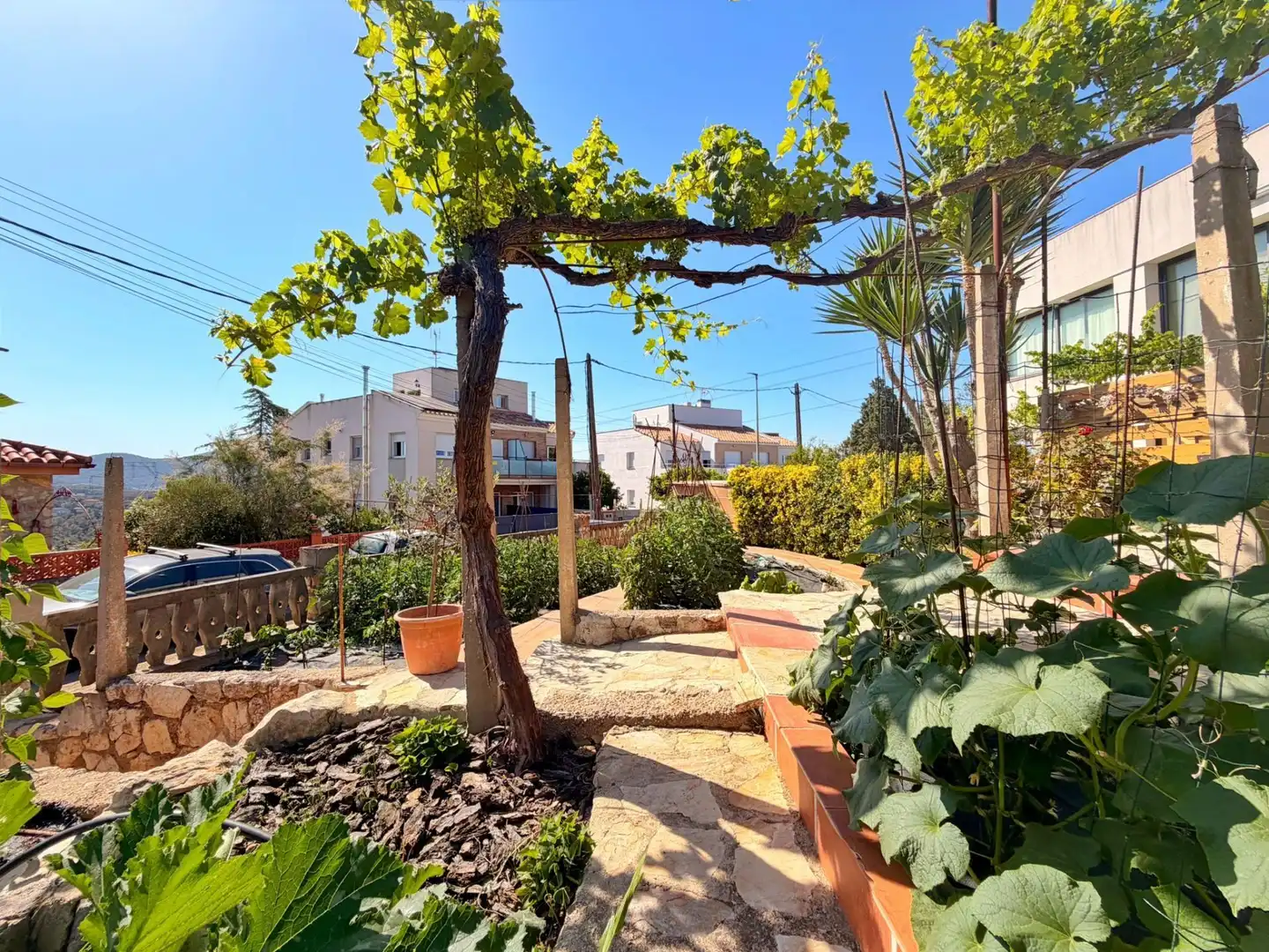 Terrassa de Casa o xalet en venda en Canyelles amb Terrassa, Traster i Piscina