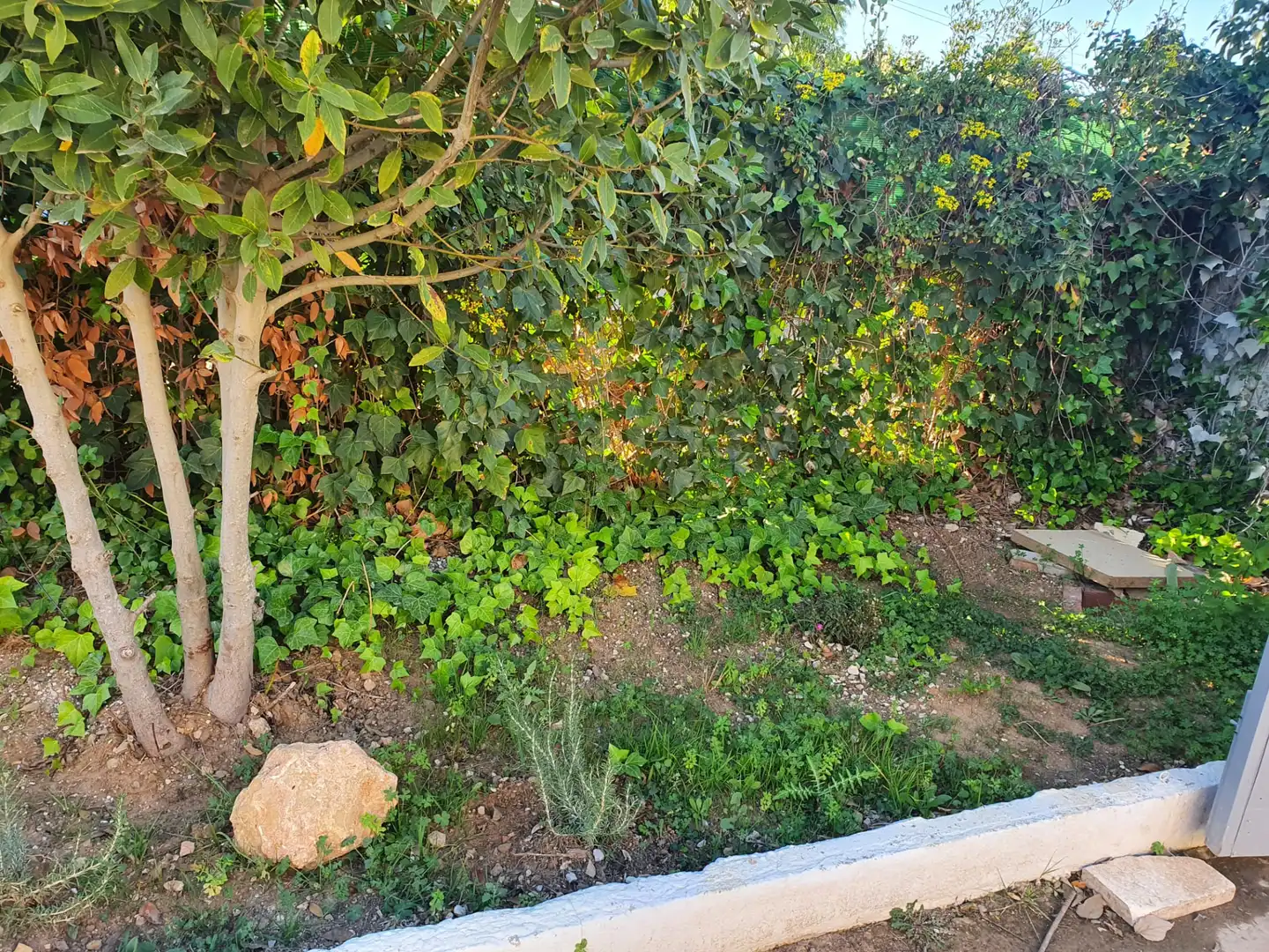 Casa rústica con piscina en venta en Buenavista - Lauro Golf, imagen 13