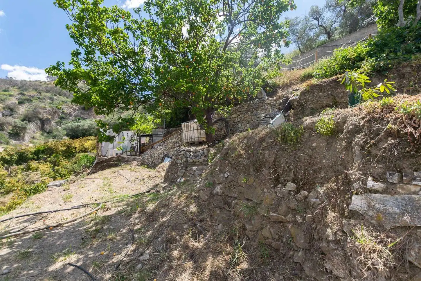 Casa con jardín en venta en Cómpeta, imagen 14