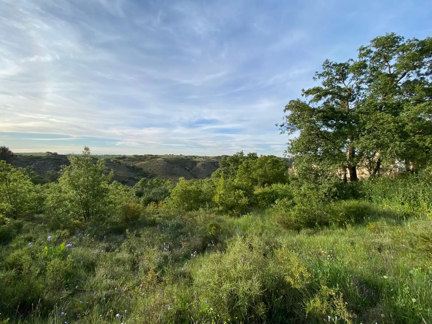 Residencial en venda en Villalbilla