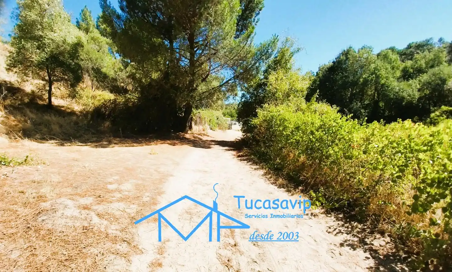 Terreno en venta en Cadalso de los Vidrios
