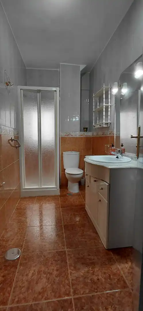 Bathroom of Flat for rent in Granada  with Furnished, Oven and Washing machine