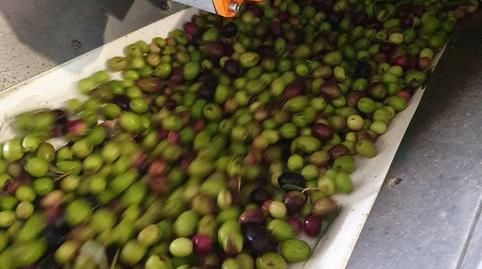 Foto 3 de Residencial en venta en Badajoz, Centro, Badajoz