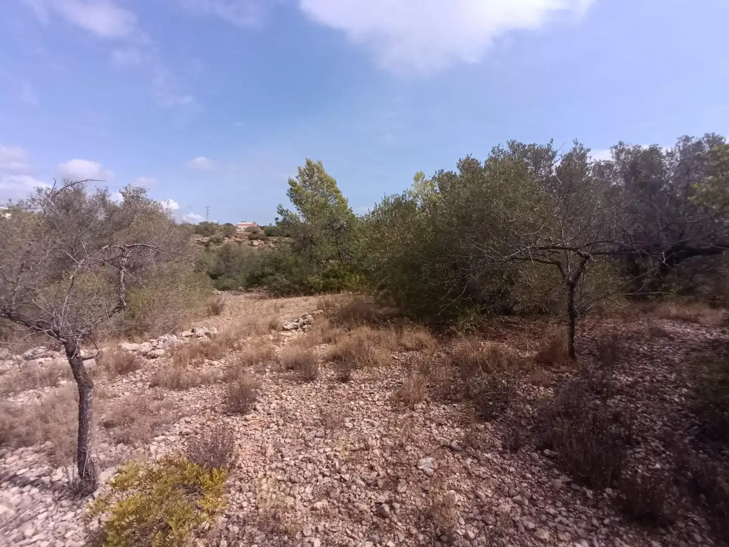 Landhaus zum Verkauf in Polígono Camí del Lligallo de Manra, imagen 7