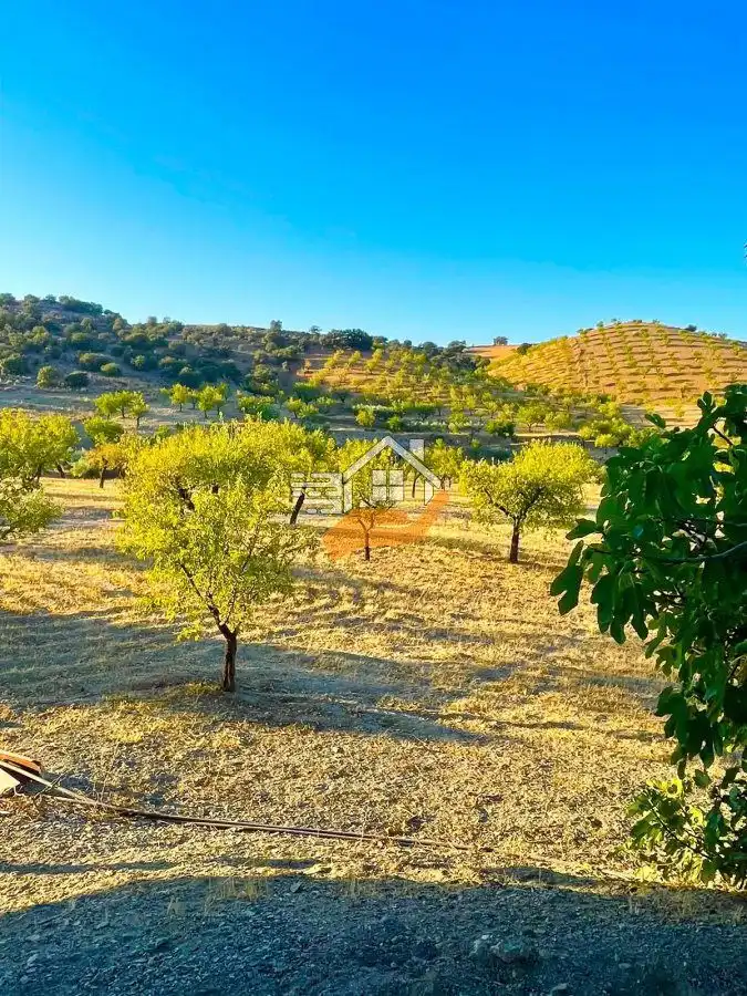 Casa rústica en venta en Vélez-Rubio, imagen 17