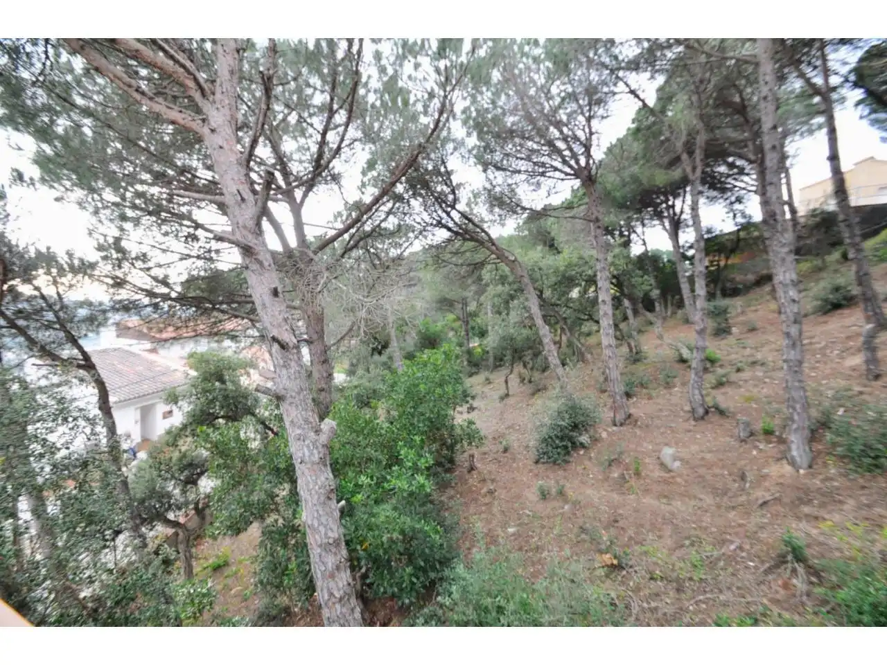 Terreno industrial en venta en Lloret de Mar