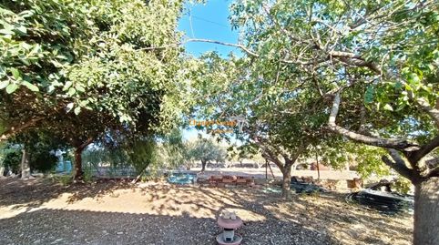 Foto 5 de Casa o xalet en venda a La Marina, Elche / Elx
