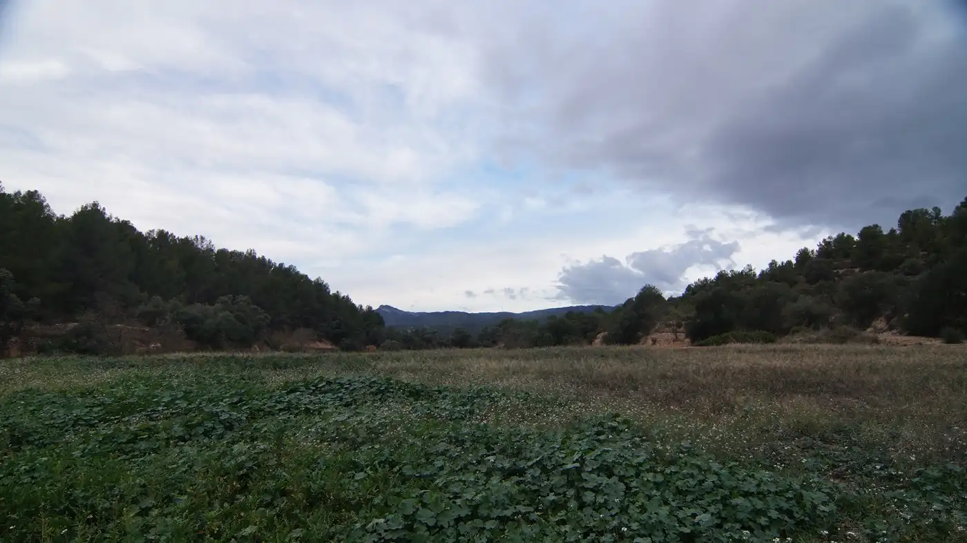 Terreno en venta en Móra la Nova