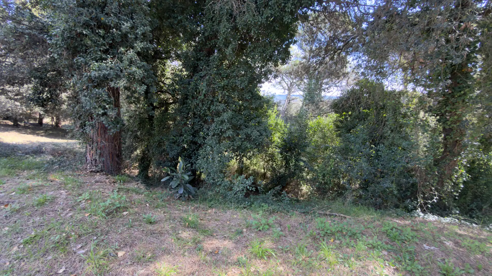 Residencial en venta en Girona