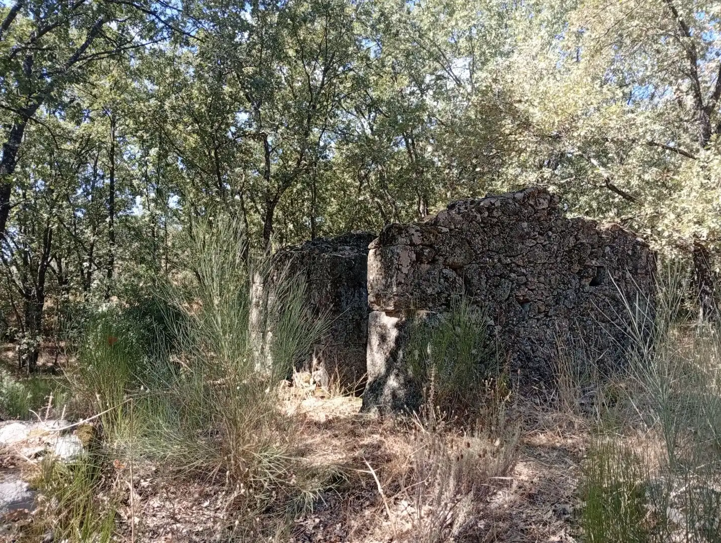 Terreni e lotti in vendita a Villanueva de la Vera, imagen 46