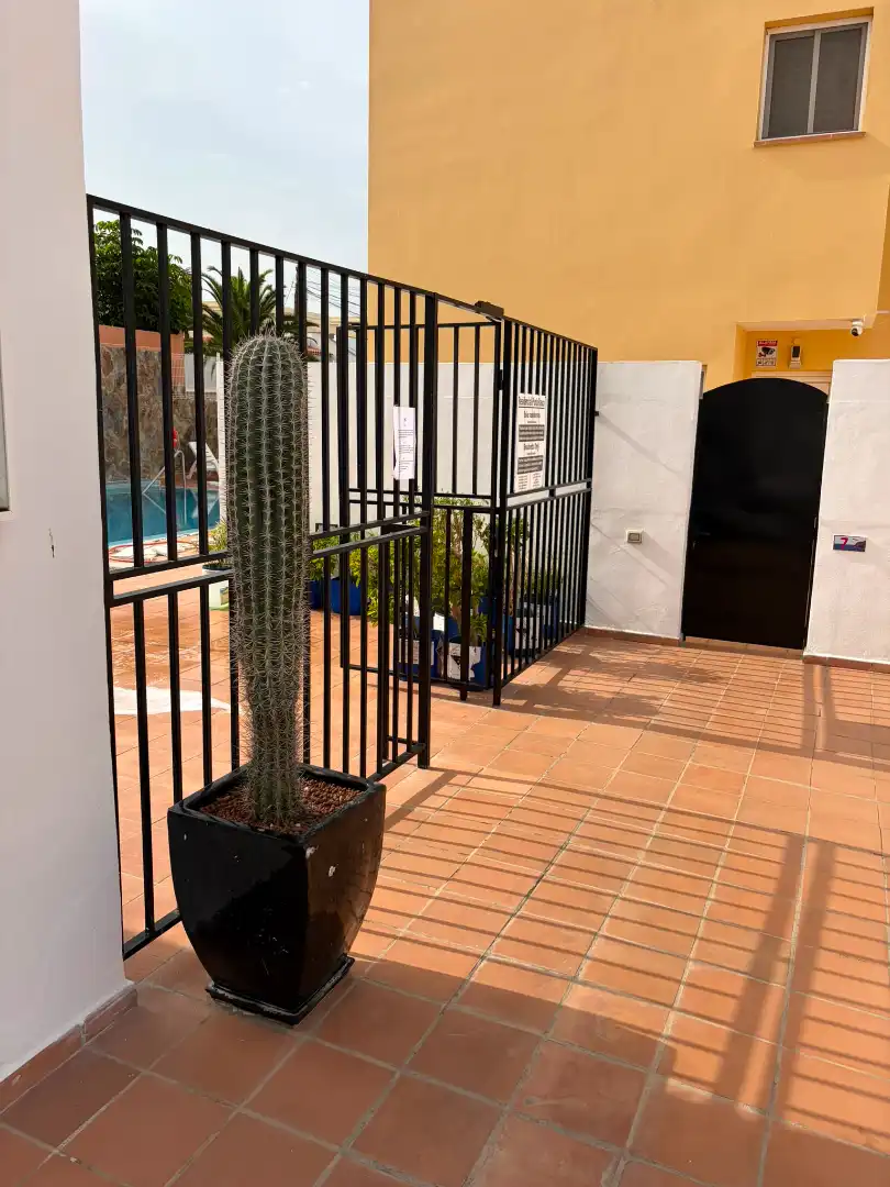 Einfamilien-Reihenhaus zum Verkauf in Avenida la Arenita, Palm - Mar