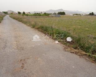 Land for sale in Aspe