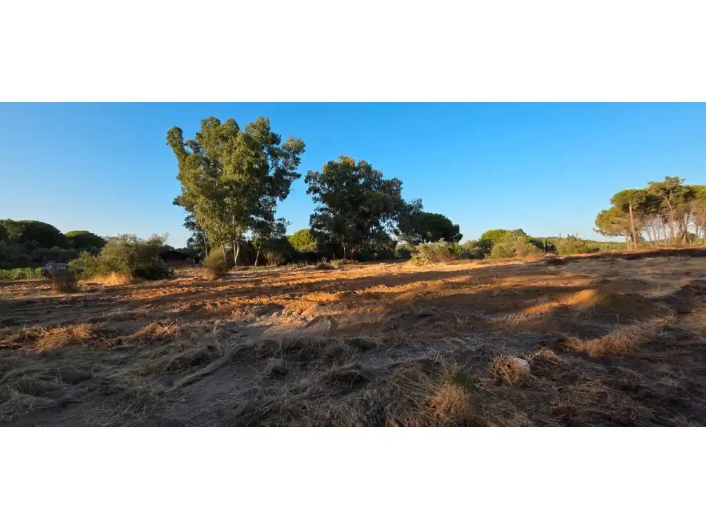 Terreni e lotti in vendita a Villablanca, imagen 7