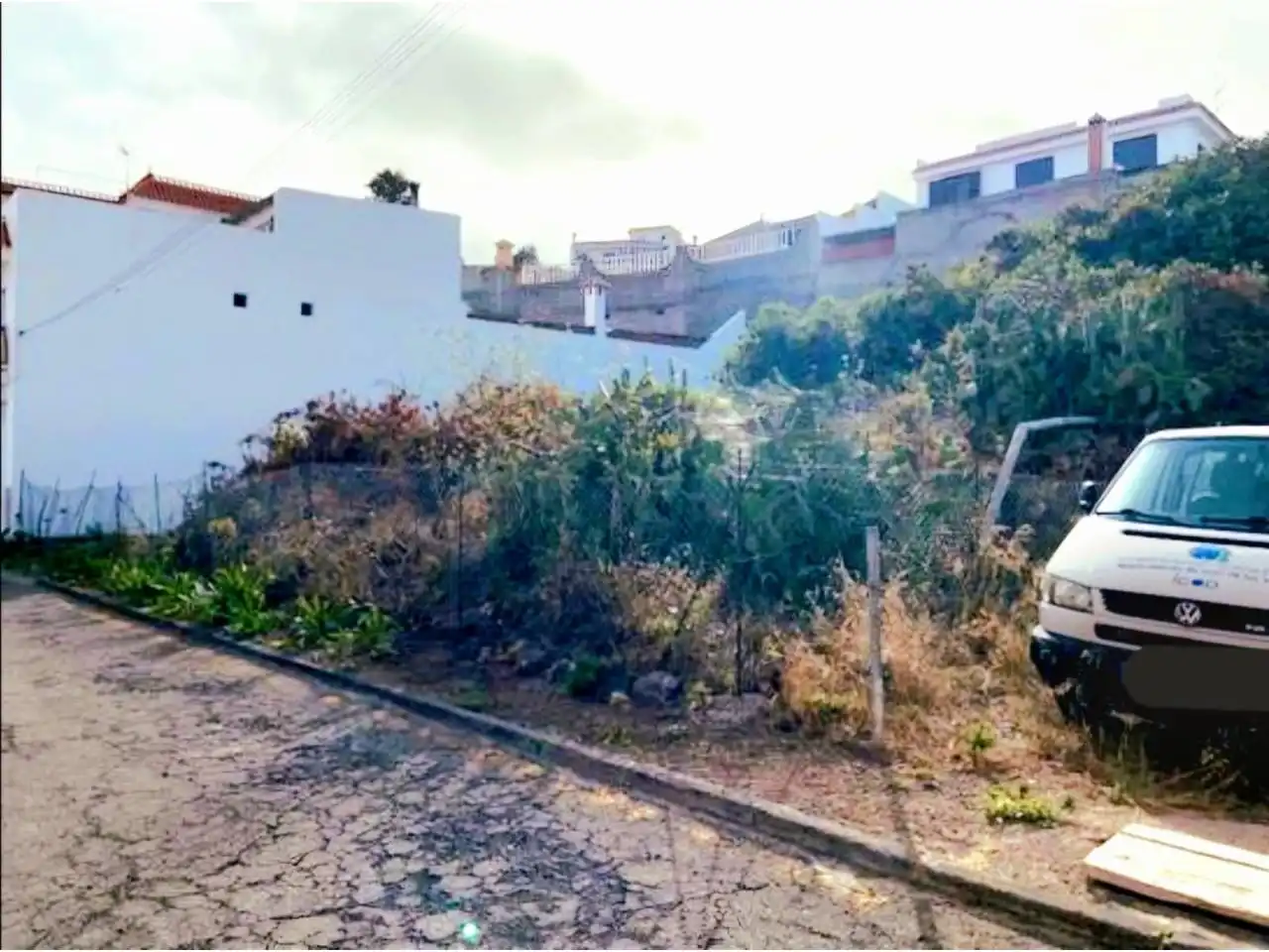 Rural land for sale in Calle Senecio, imagen 5