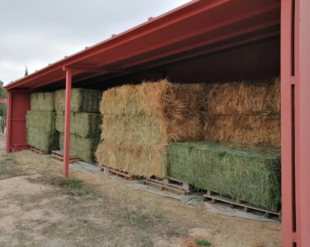 Vista exterior de Finca rústica en venta en Jarafuel con Calefacción, Jardín privado y Amueblado