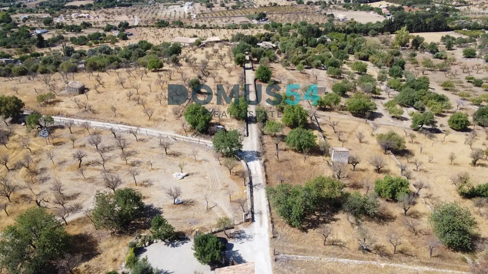 Land for sale in Selva