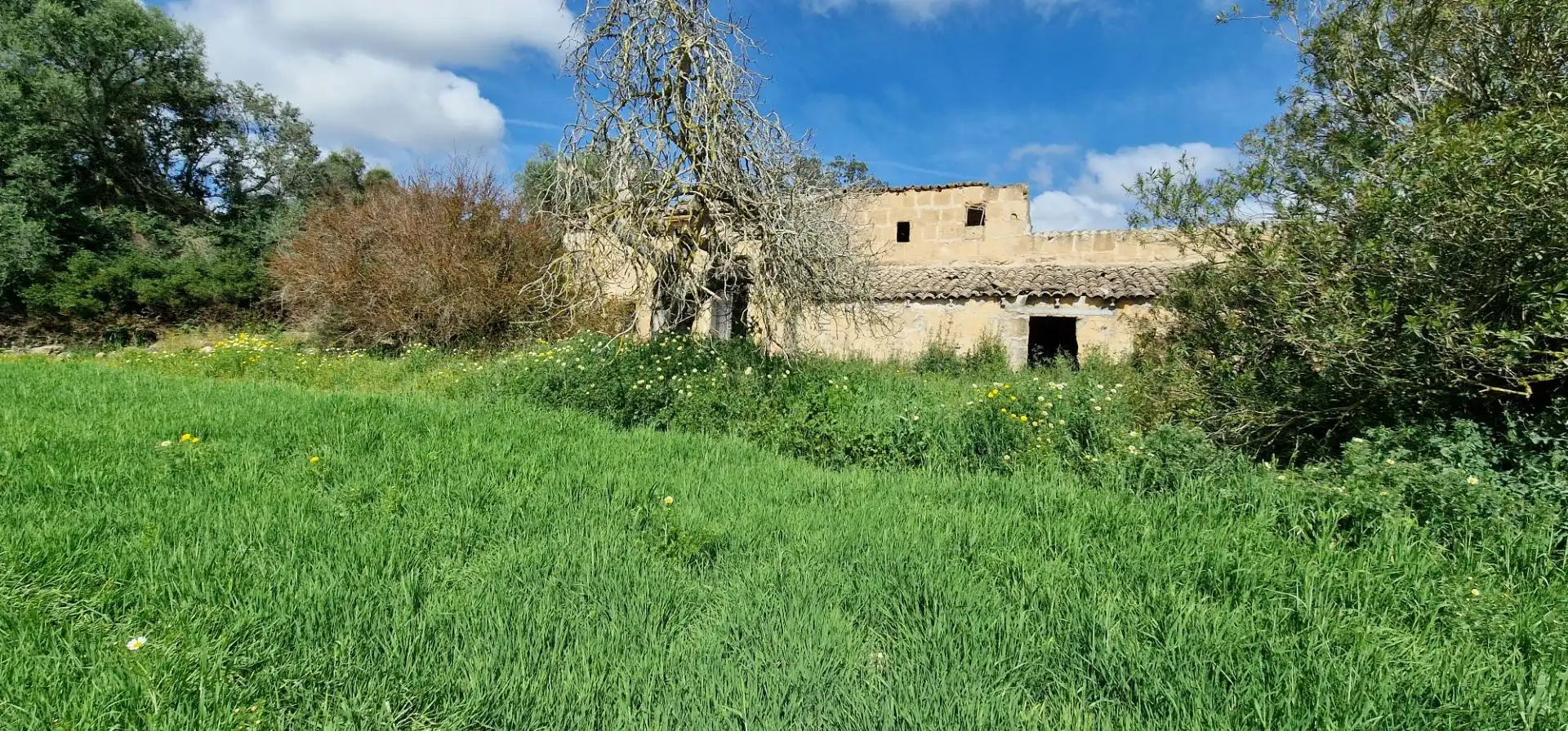 Country homes for sale in Manacor