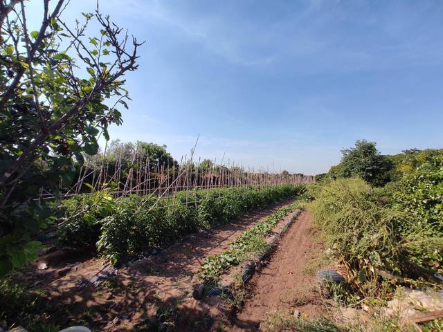 Terreno en Venta en Carpesa