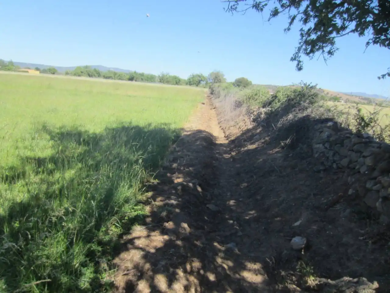 Terreno rustico in vendita a Calle RONDA DEL MEDIODIA