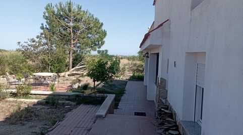 Foto 3 de Finca rústica en venda a Polígono 3 Paraje 7 Hortas, Montbrió del Camp, Tarragona