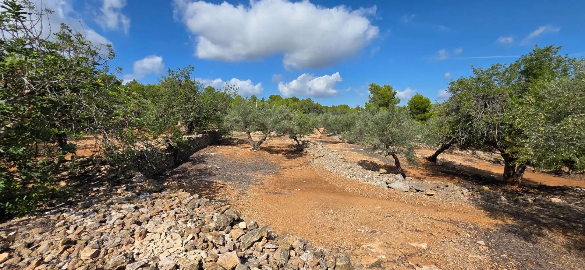 Finca rústica en venda en El Perelló amb Jardí privat, Terrassa i Traster