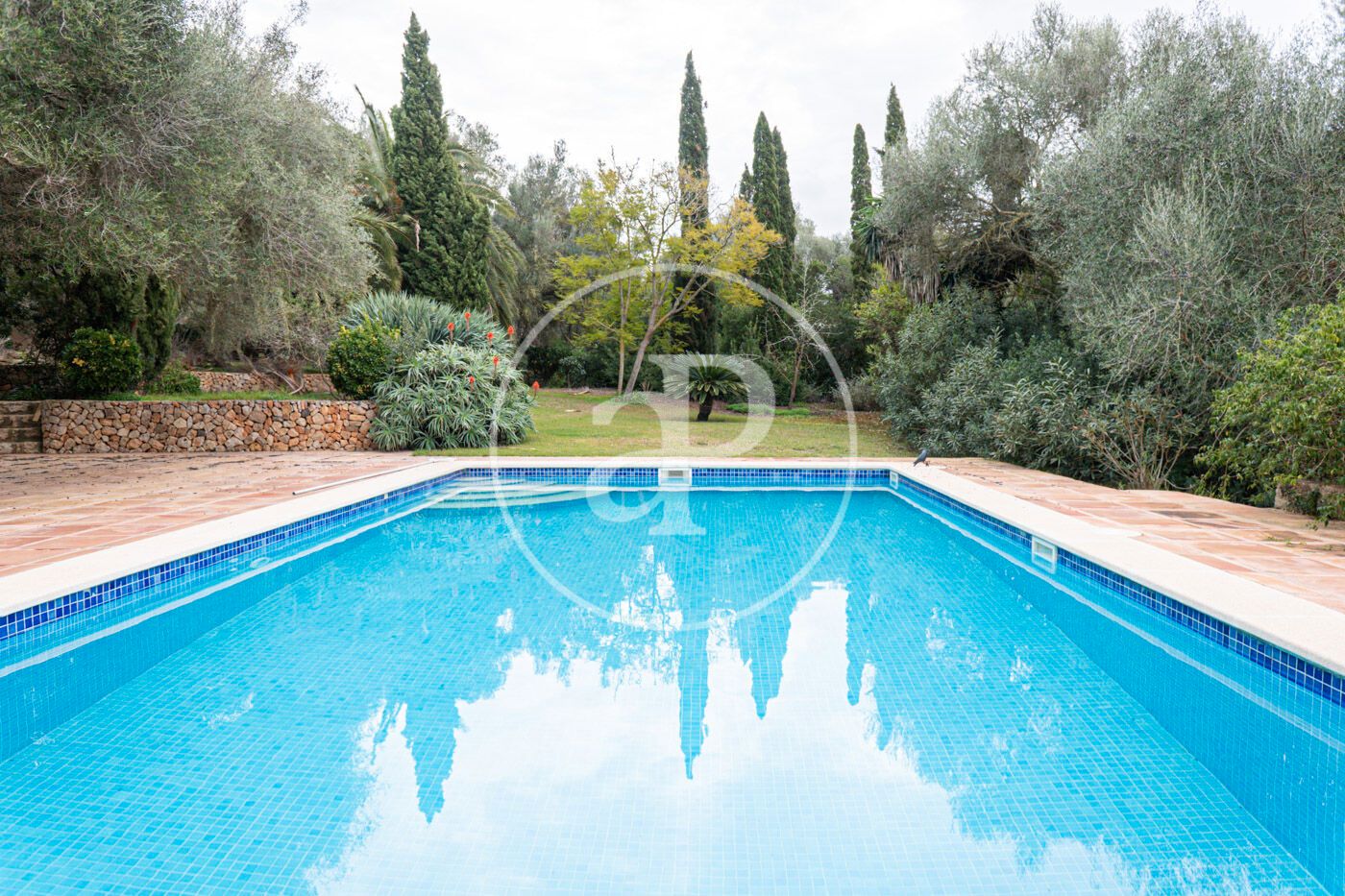 Swimming pool of House or chalet to rent in Manacor  with Air Conditioner, Heating and Private garden