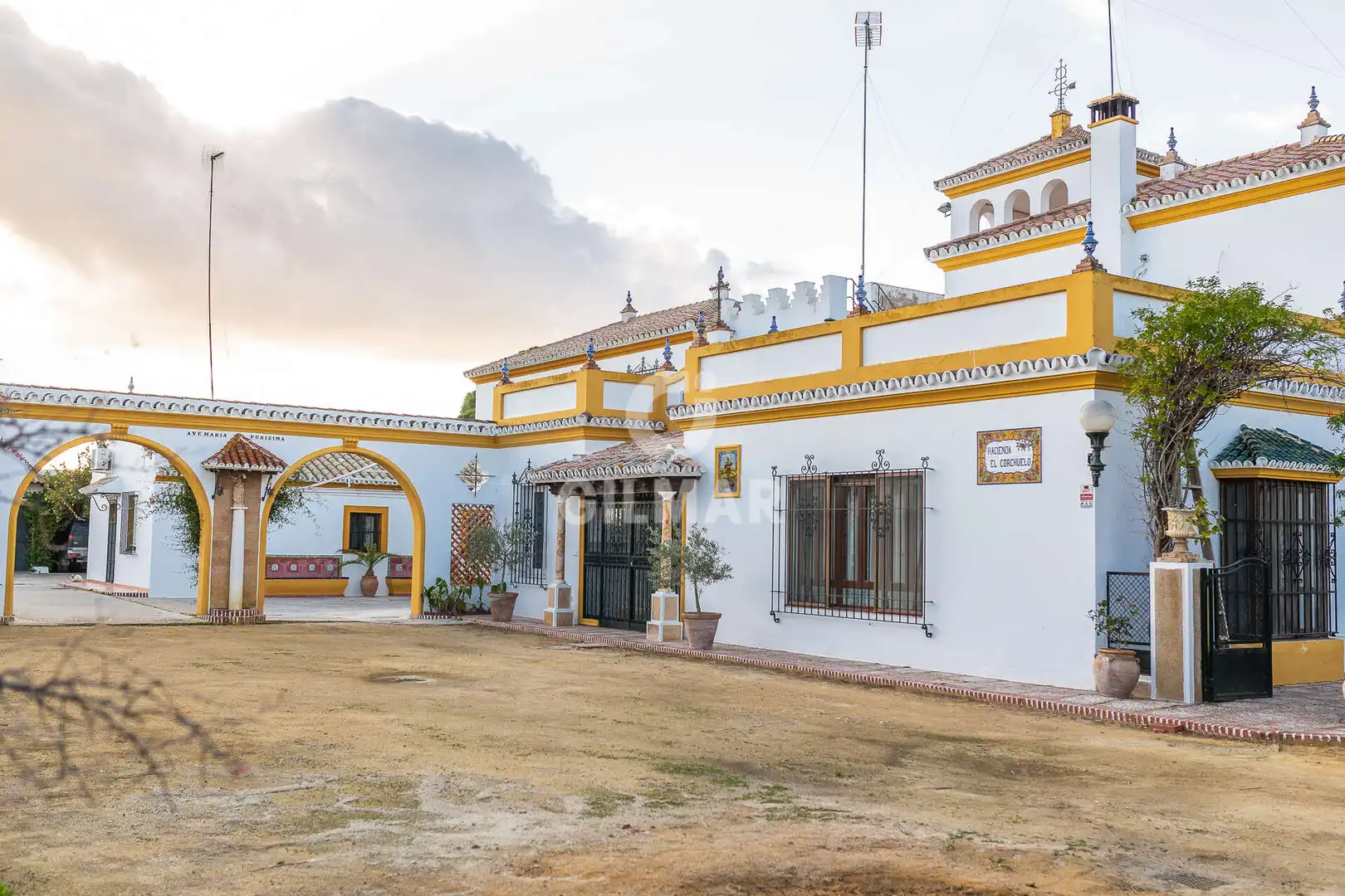 Vista exterior de Casa o chalet en venta en Marchena con Calefacción, Jardín privado y Piscina