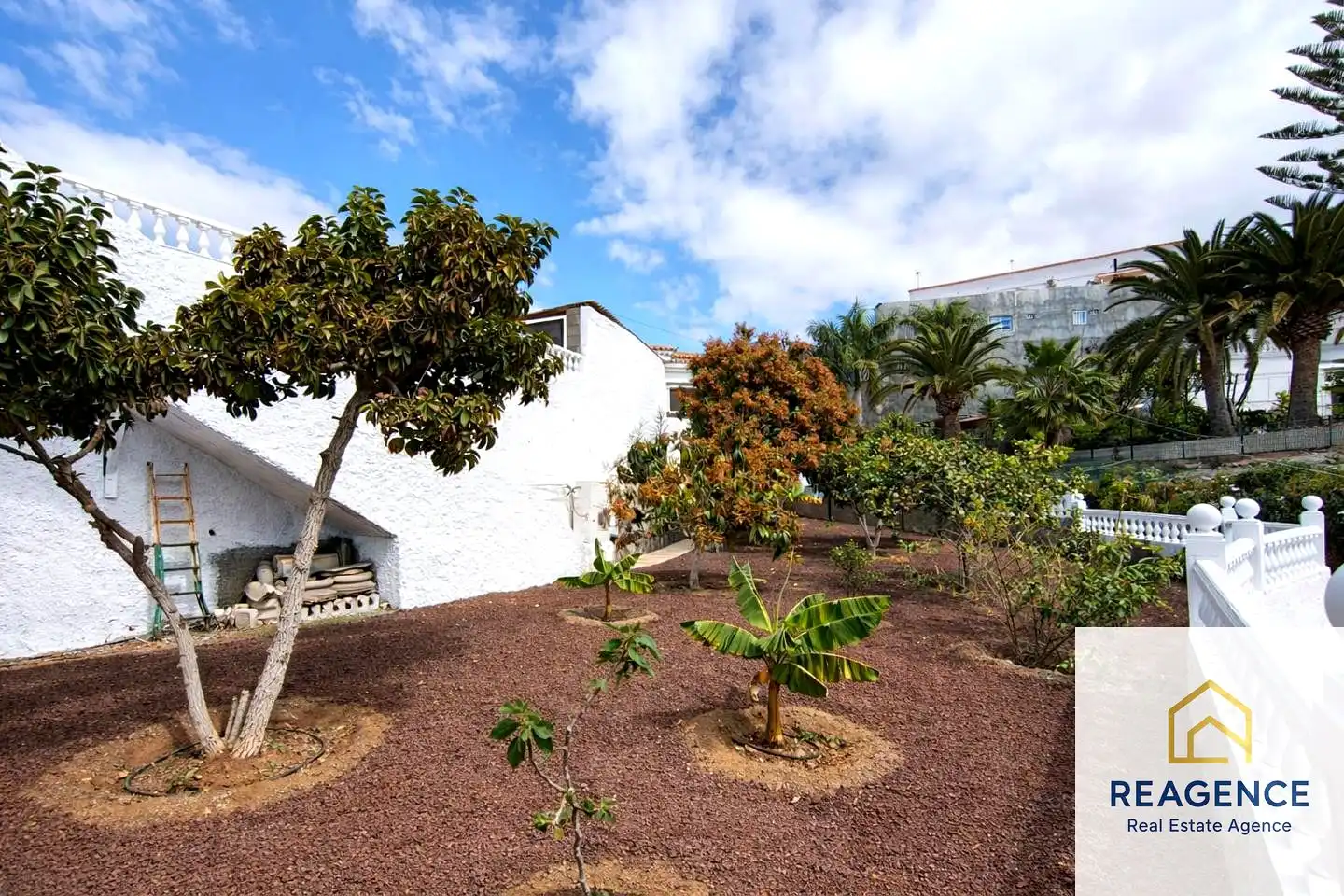 Jardín de Casa o chalet en venta en El Salobre