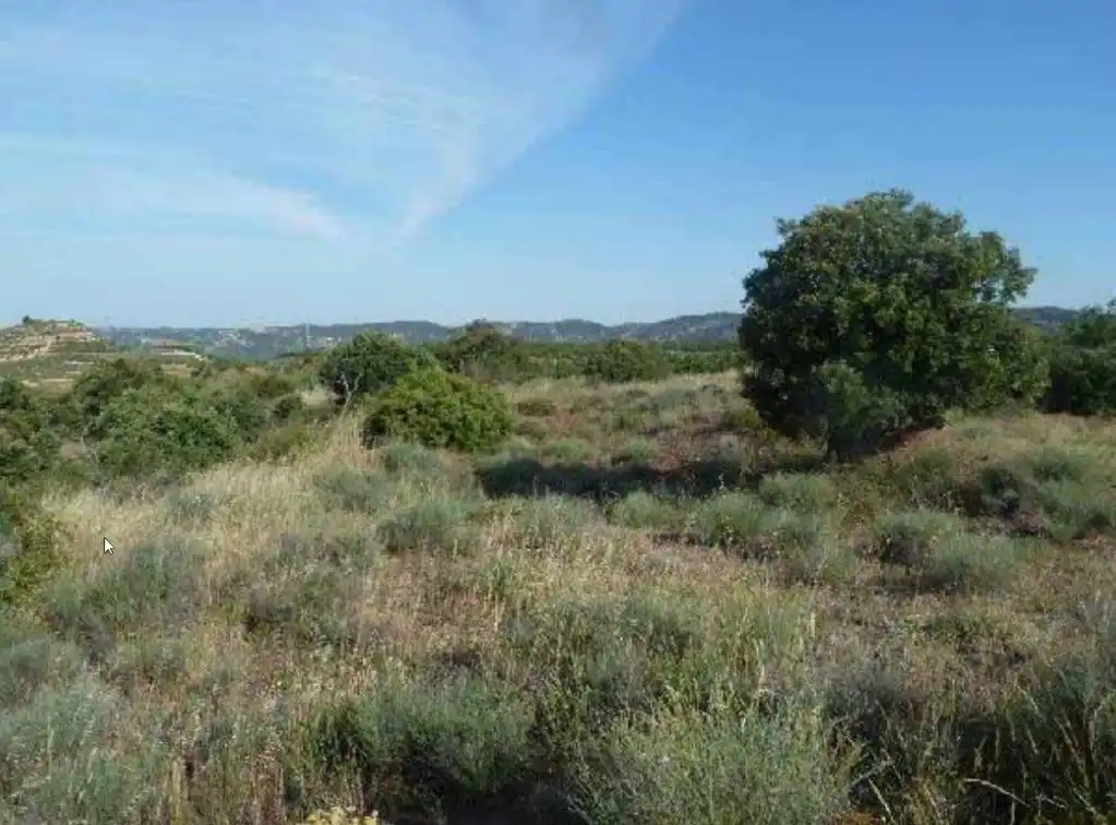 Rural land for sale in C/ Mas Garriga Antonet, imagen 7