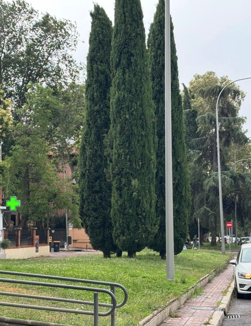 Vista exterior de Pis en venda en  Madrid Capital amb Aire condicionat, Calefacció i Balcó