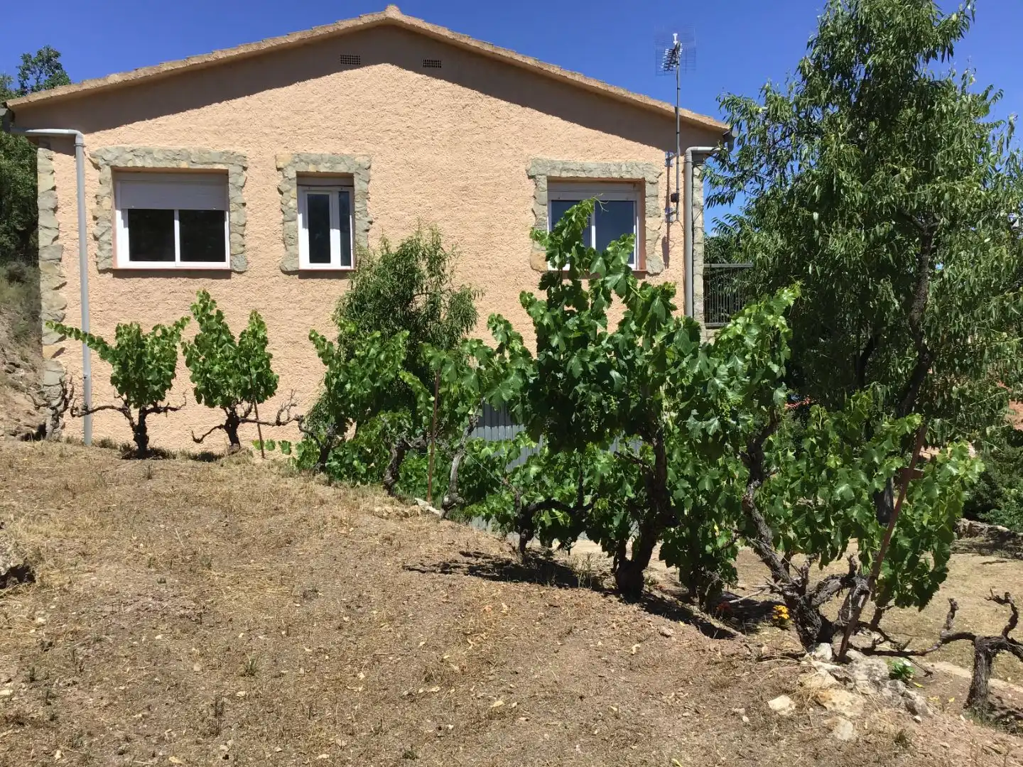 Villa mit Garten zum Verkauf in Camí Balena 3, imagen 10