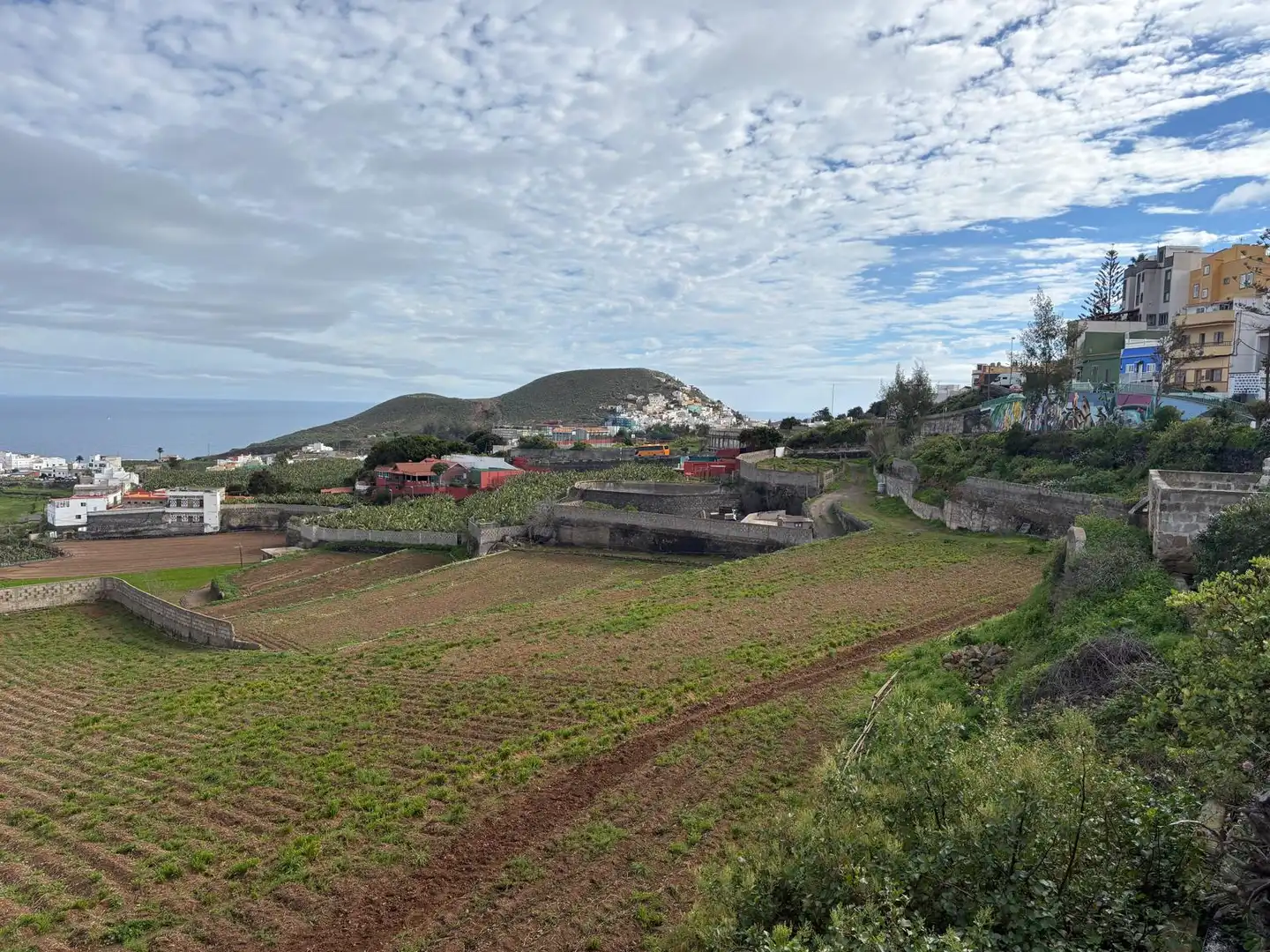 Detached homes for sale in Arucas  with Terrace
