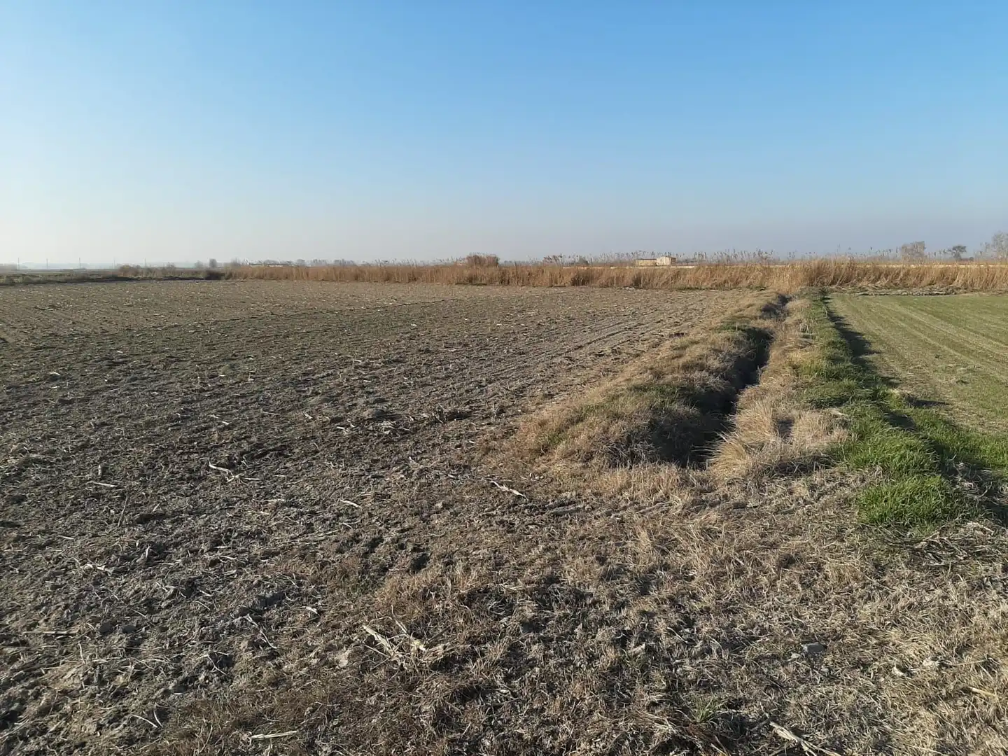 Rural land for sale in Avinguda Balaguer 1981, imagen 6