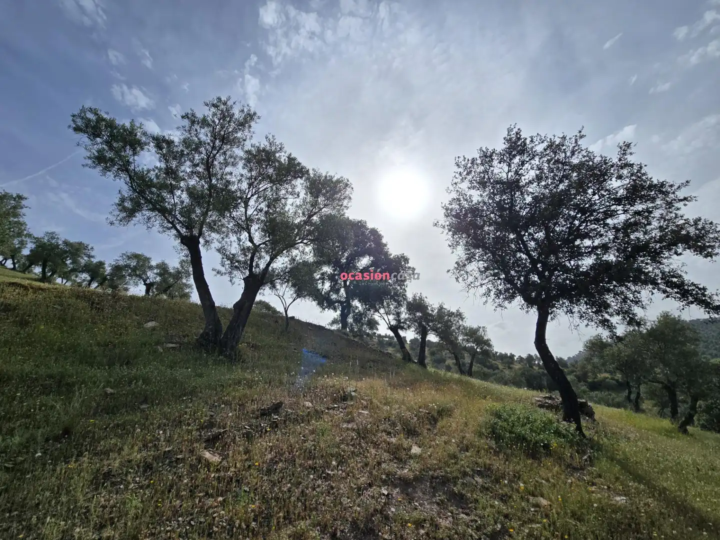 Finca rústica en venta en Pozoblanco