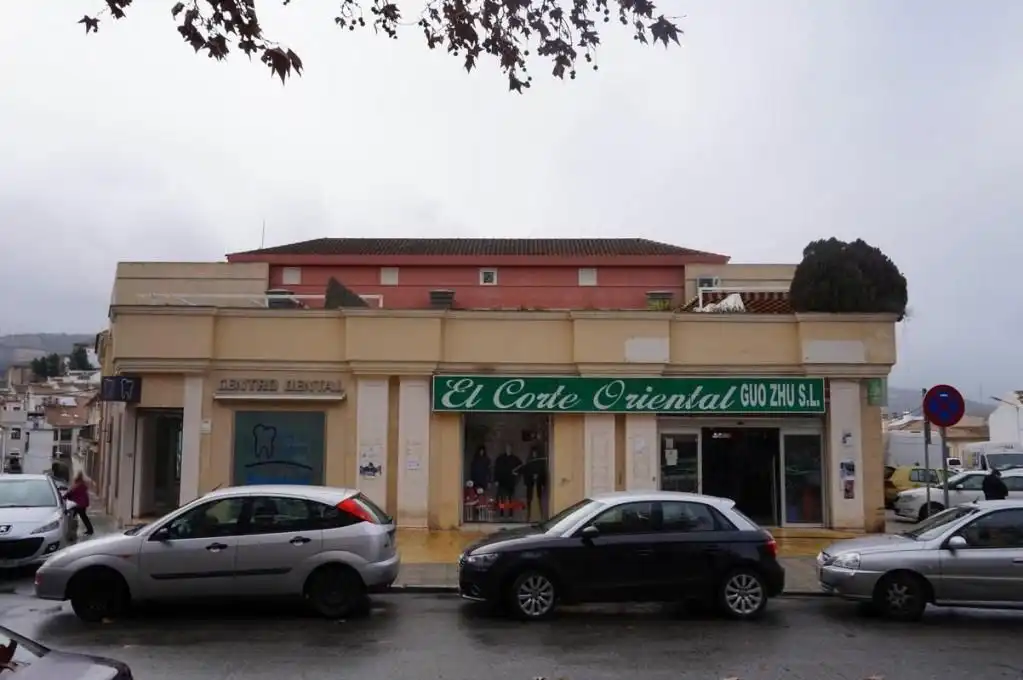 Casa rustica in vendita a Calle Pintor Peñalosa