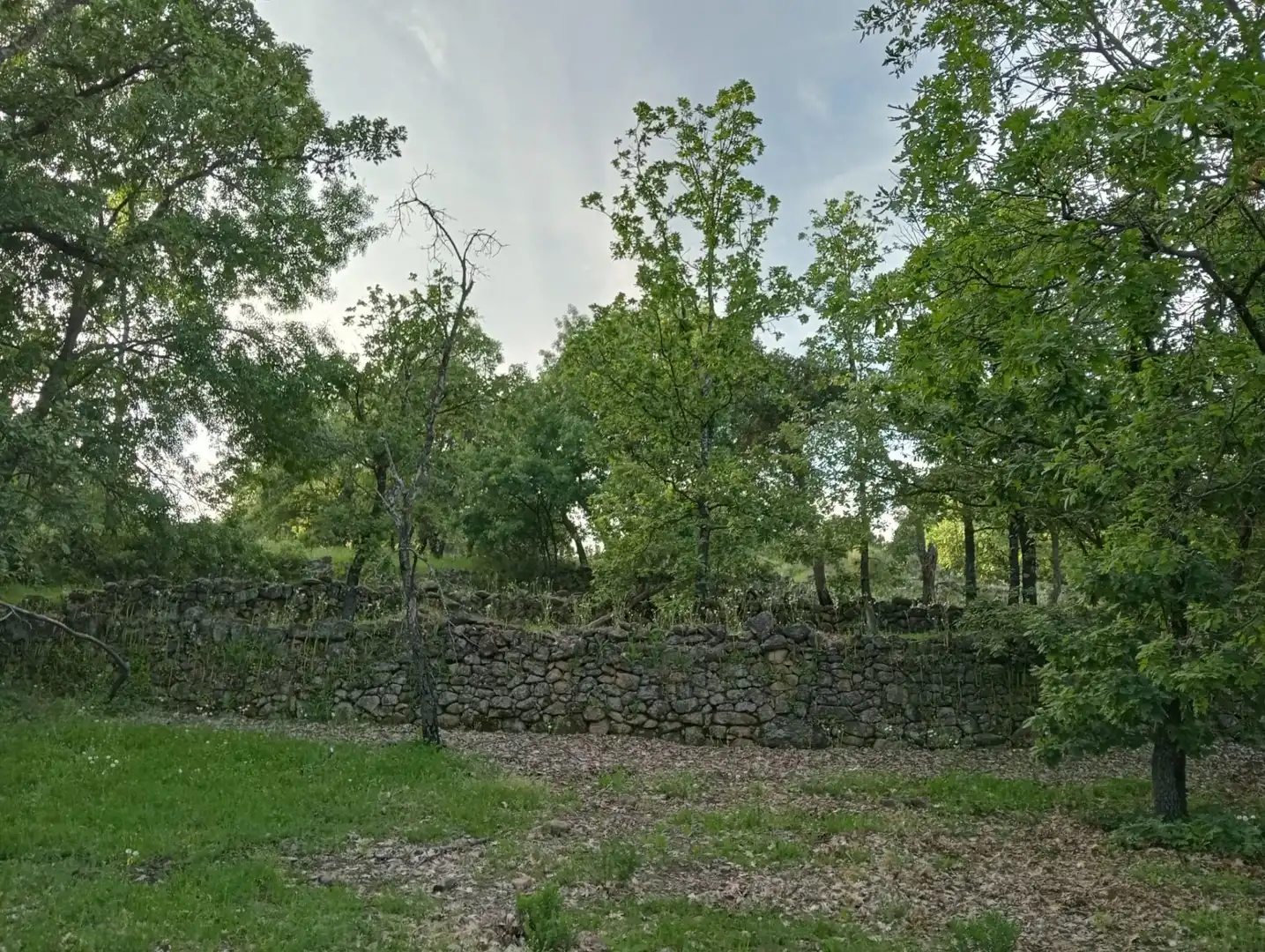 Terreno en venta en Villanueva de la Vera
