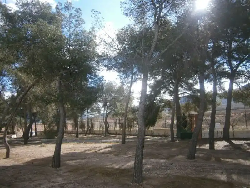 Casa rustica con giardino in vendita a Monóvar  / Monòver, imagen 69