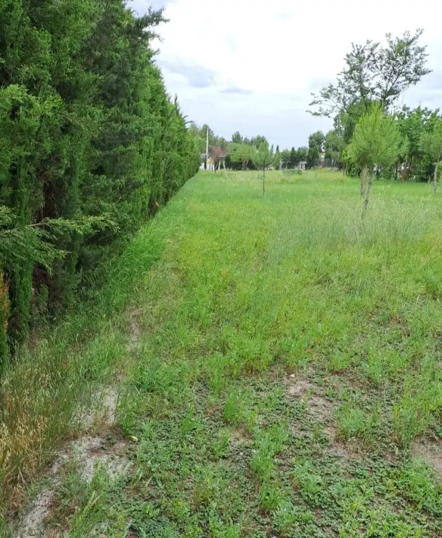 Terreno rustico in vendita a San Pablo, imagen 6