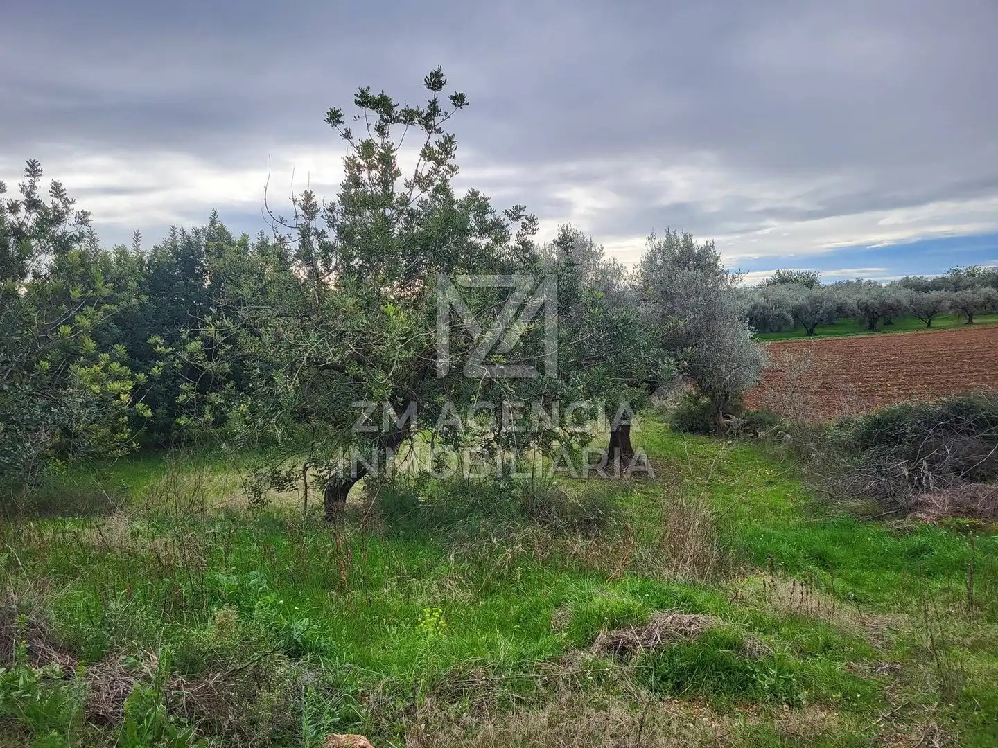 Terreno rustico in vendita a Cabanes, imagen 26