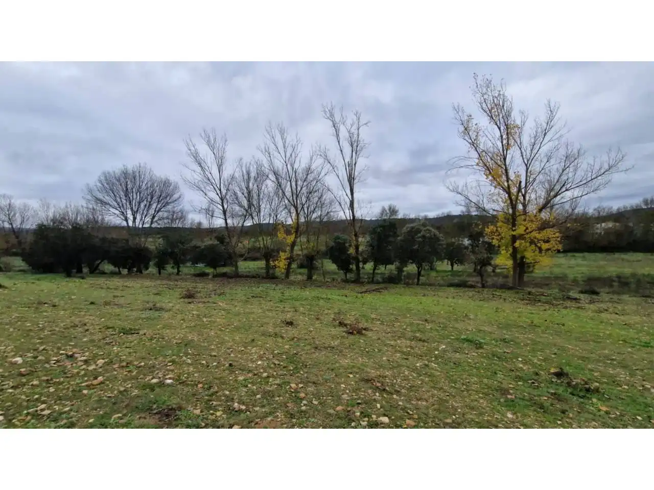 Terreno residenziale in vendita a Poligono 24 46, imagen 11