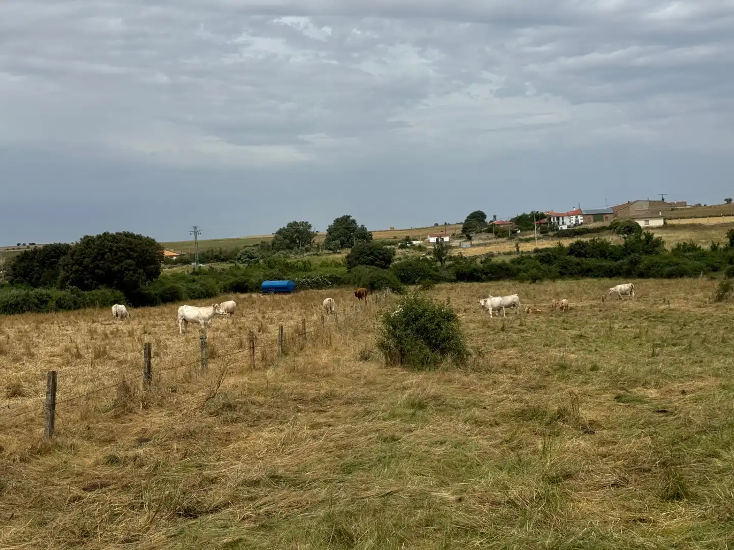 Terreno en venta en Añover de Tormes