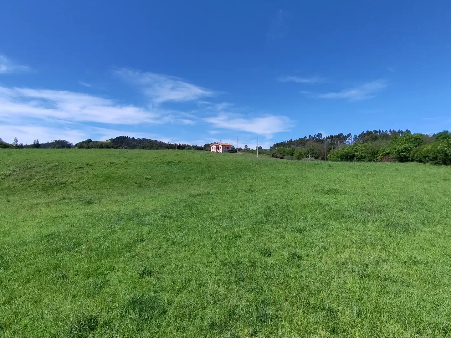 Terreny residencial en venda a Gijón - CR DE GALLINAL 203, imagen 3