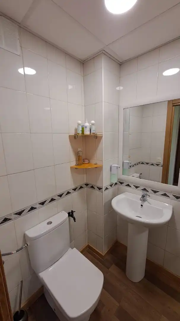 Appartamento con terrazza in vendita a Reina Victoria - Matadero, imagen 17