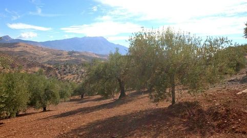 Foto 2 von Grundstücke zum Verkauf in Cútar, Málaga