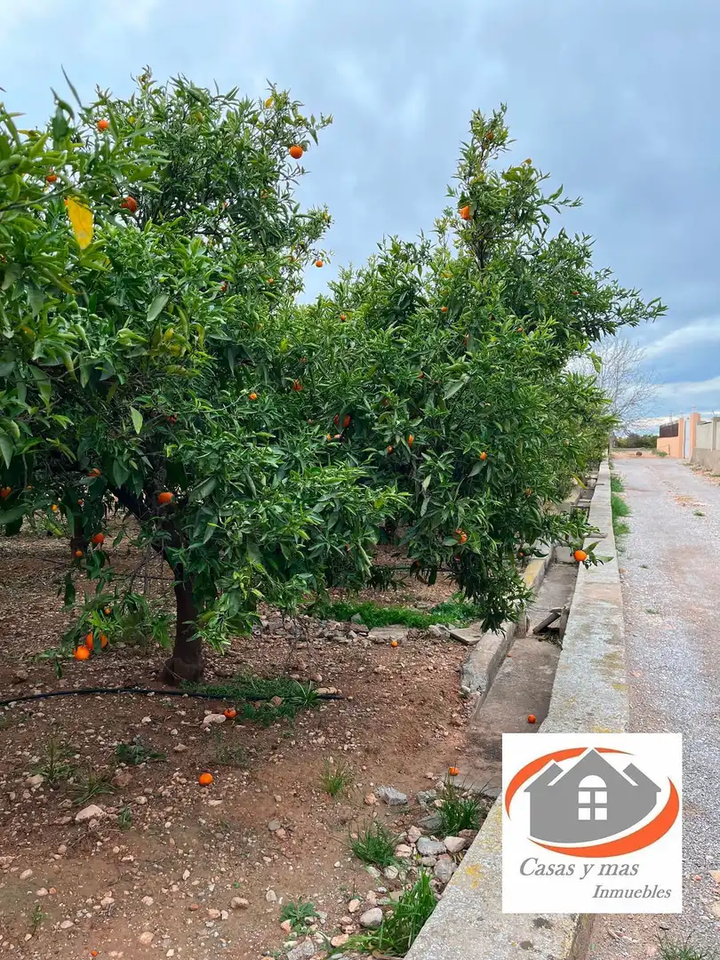 Terreno rustico in vendita a moli de llop, imagen 8