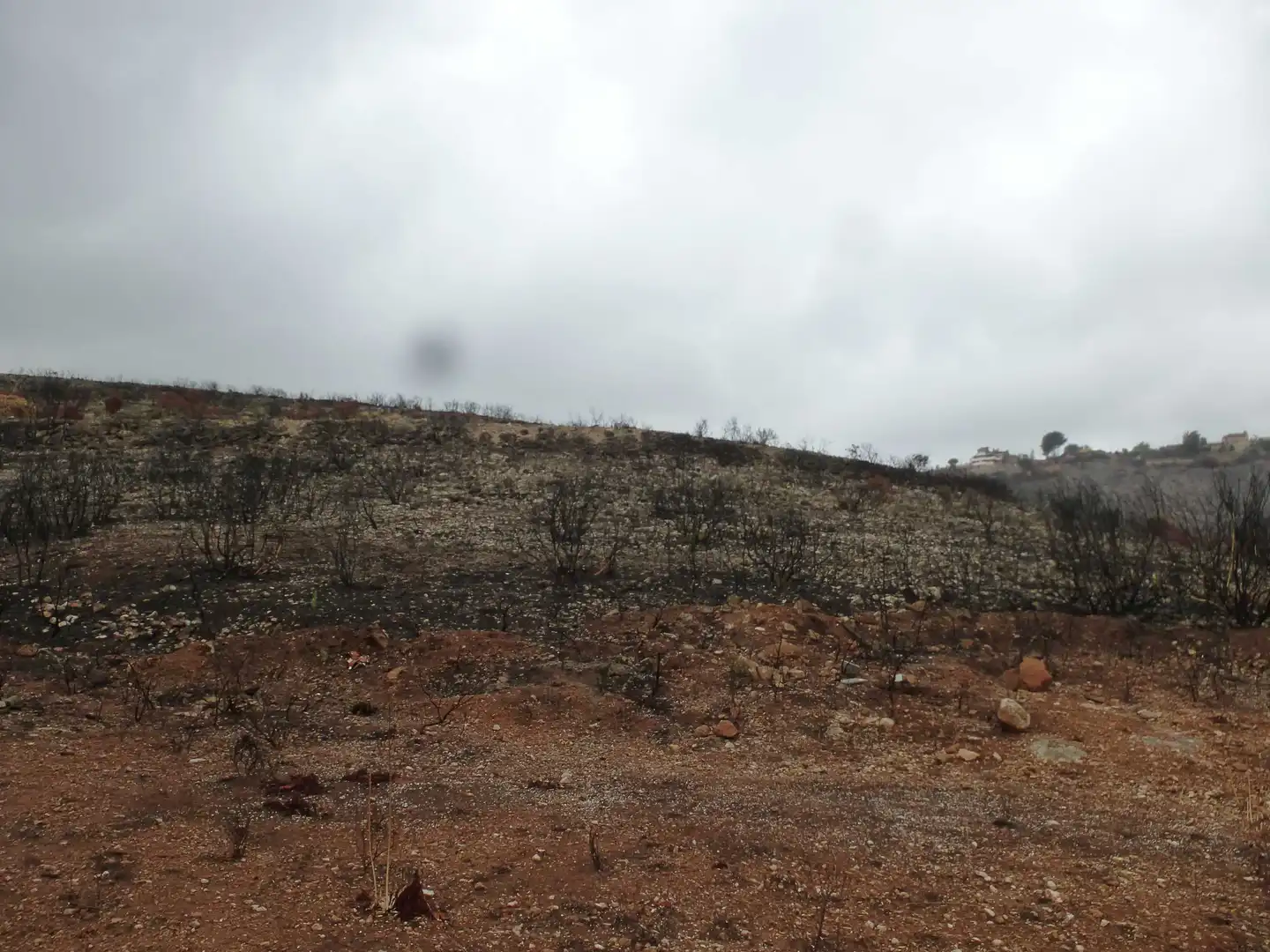 Rustikales Grundstück zum Verkauf in Urb Sierra Perenchiza, imagen 6