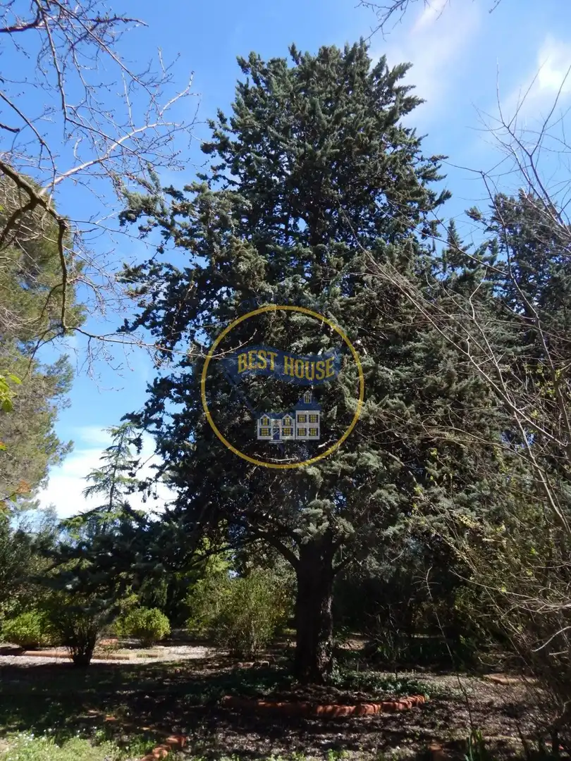 Xalet amb terrassa en venda a Bocairent, imagen 6
