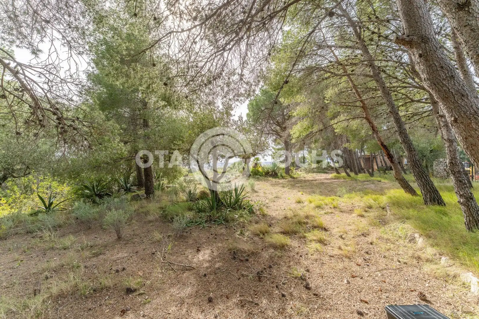 Terreny residencial en venda a Carrer dels Pugets, imagen 16